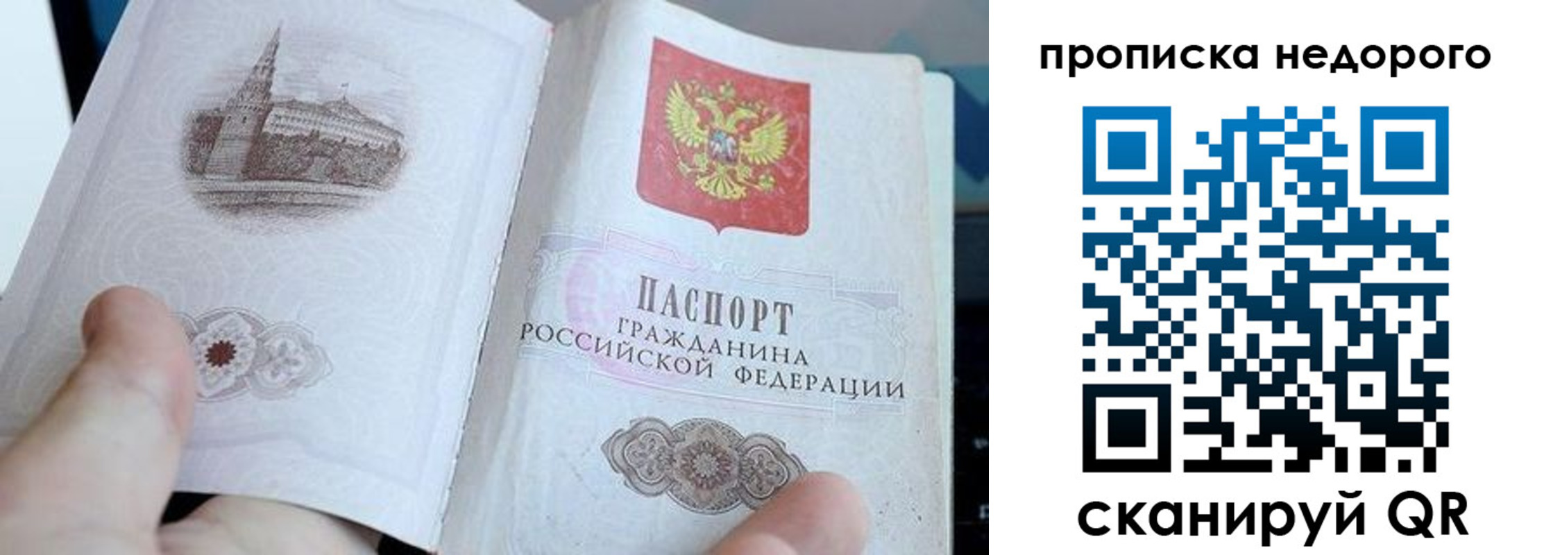 пропишу в квартире в Бородино